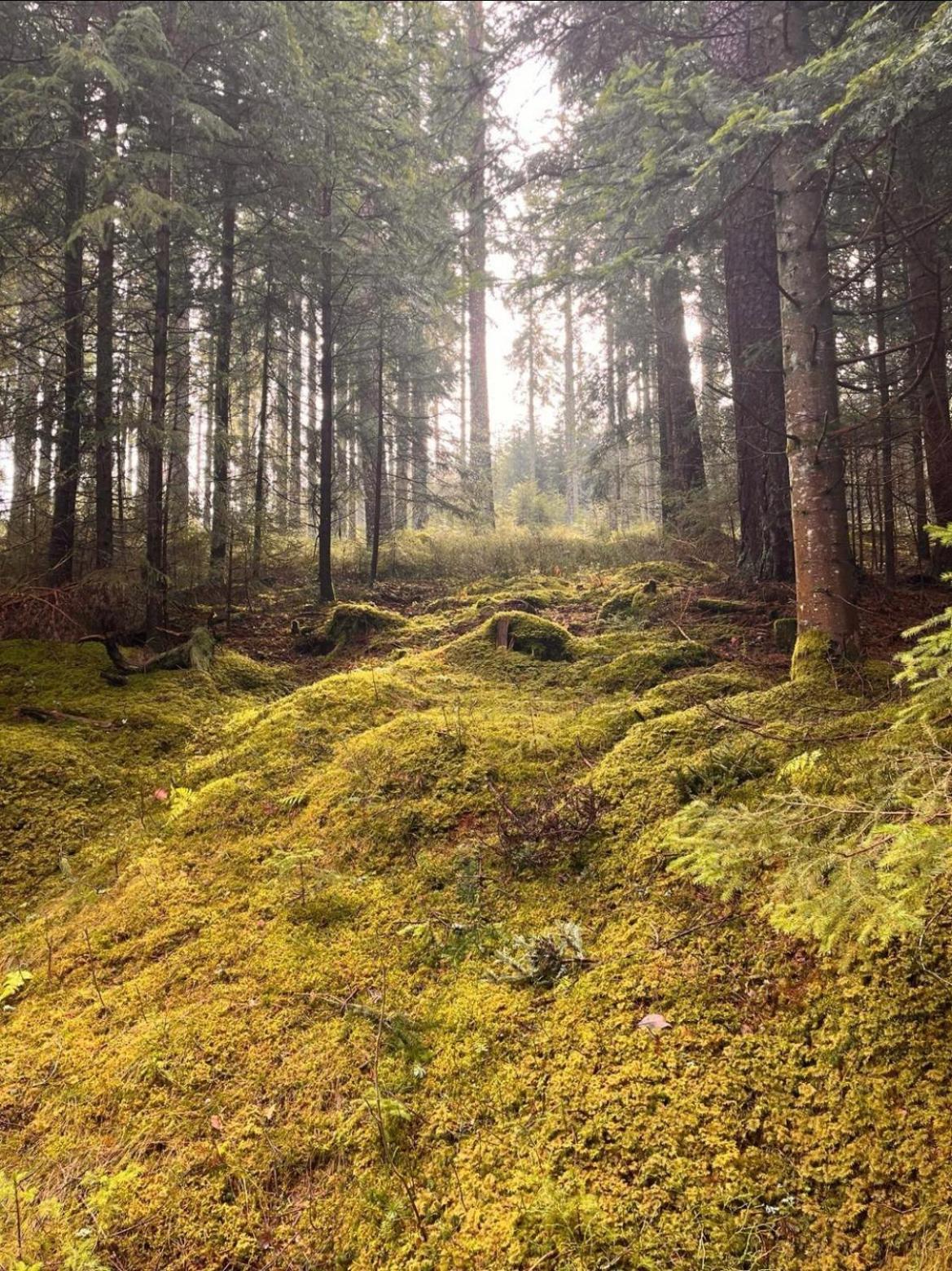 Haus Am See - Natur Pur 프리덴웨일러 외부 사진