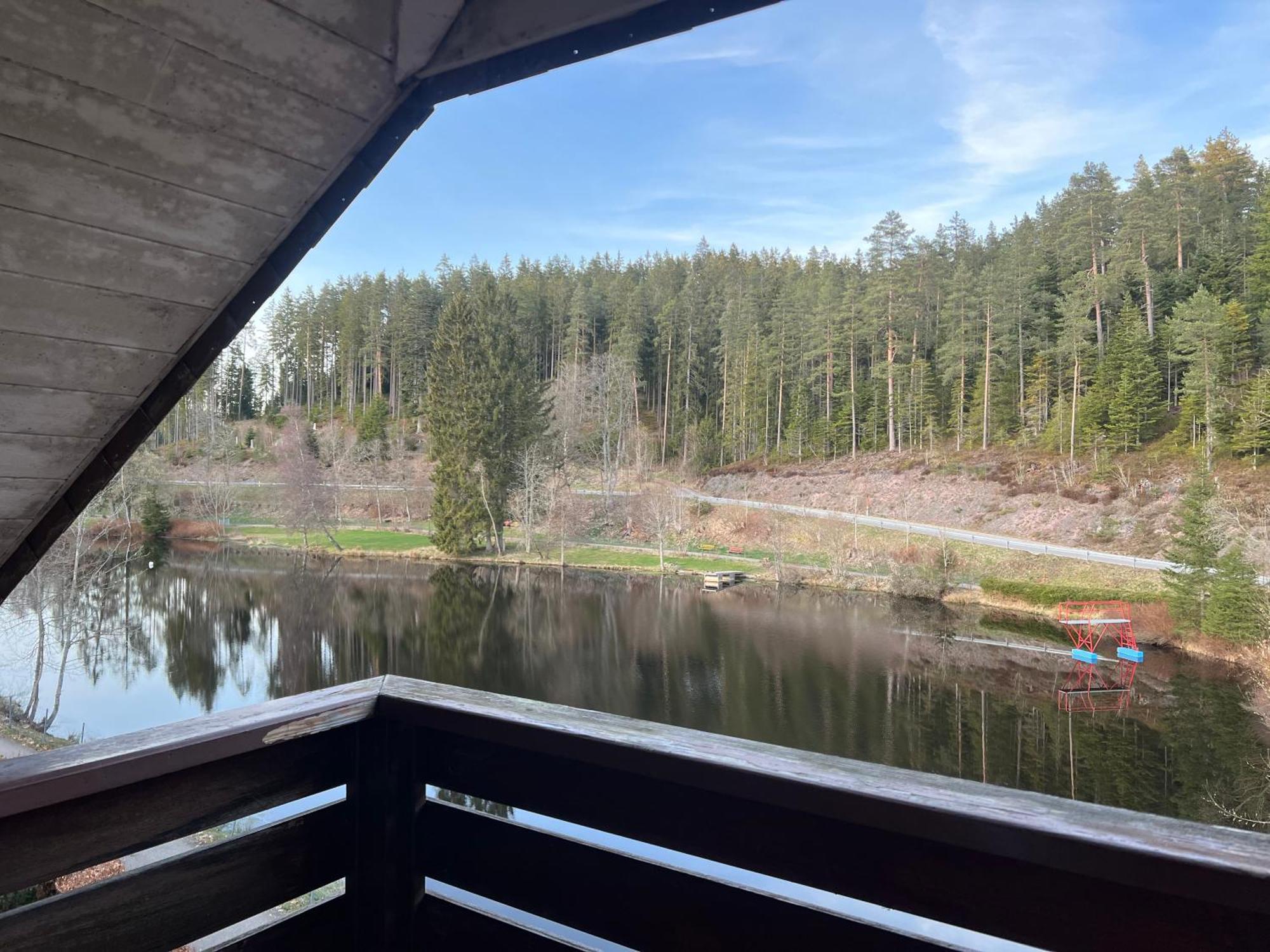 Haus Am See - Natur Pur 프리덴웨일러 외부 사진