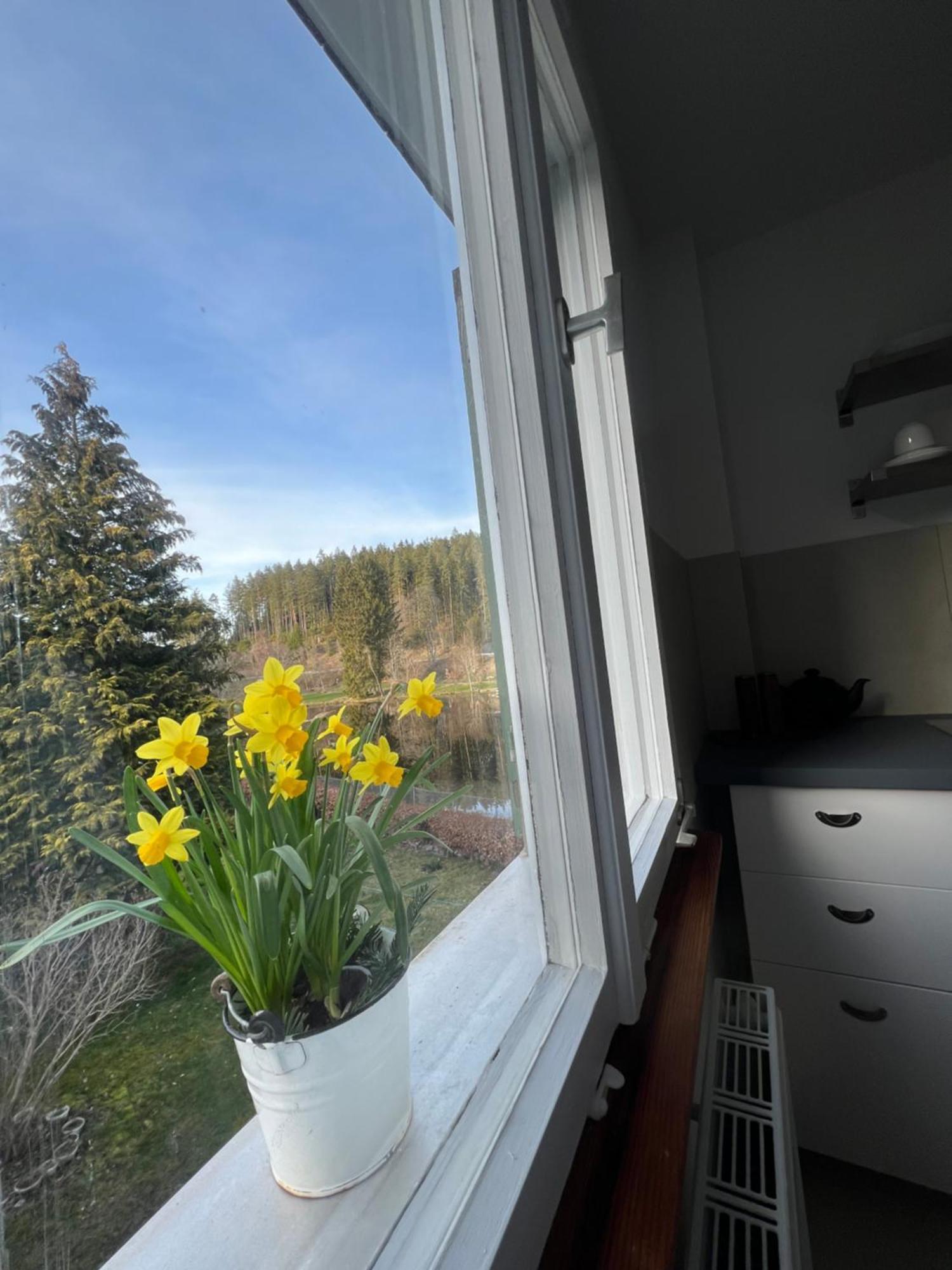 Haus Am See - Natur Pur 프리덴웨일러 외부 사진