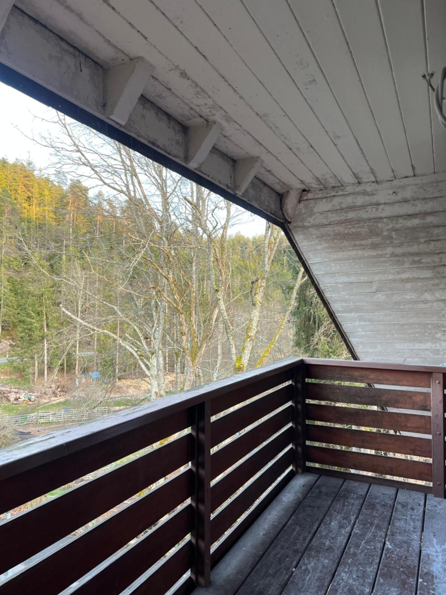 Haus Am See - Natur Pur 프리덴웨일러 외부 사진