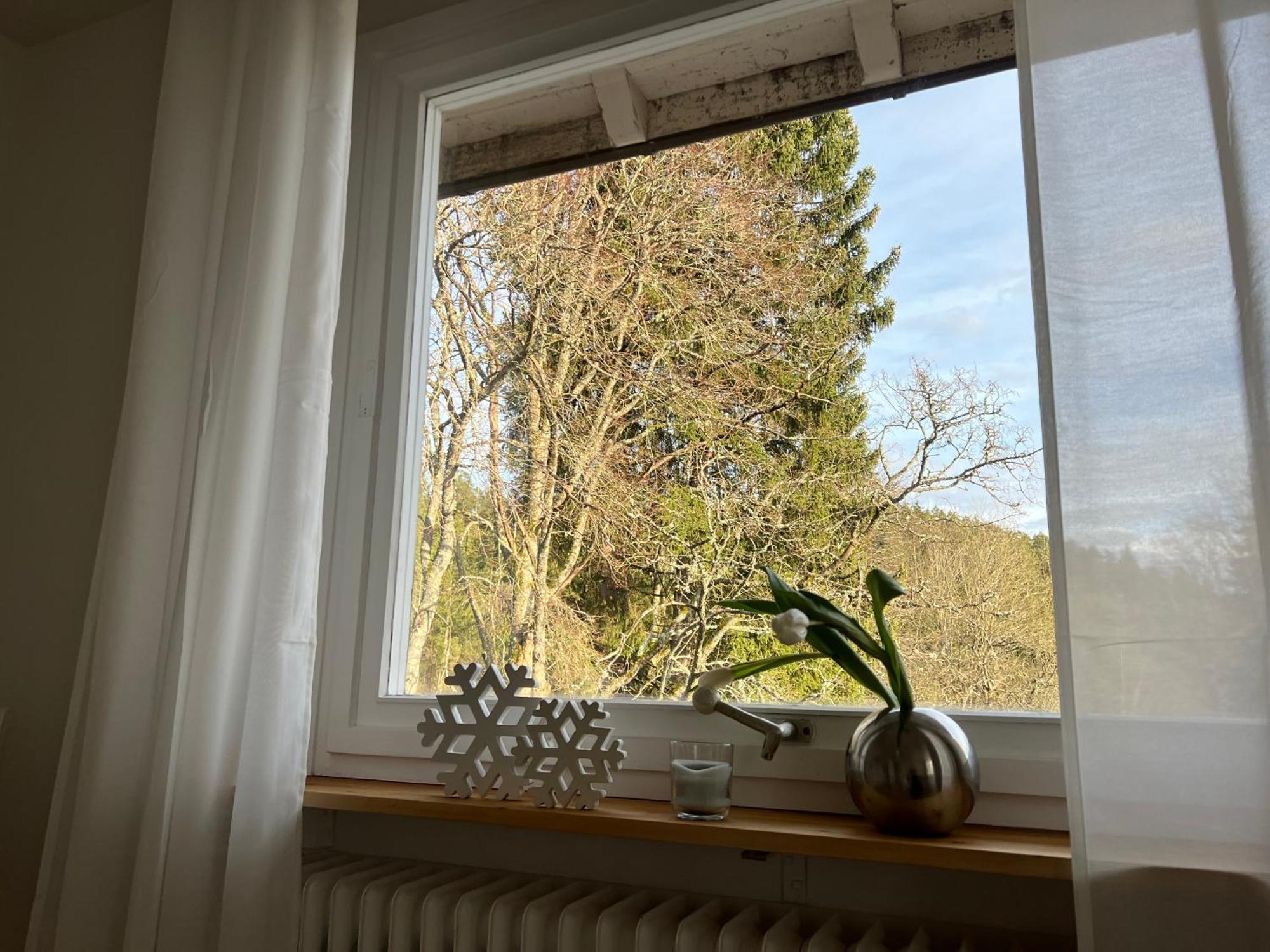 Haus Am See - Natur Pur 프리덴웨일러 외부 사진