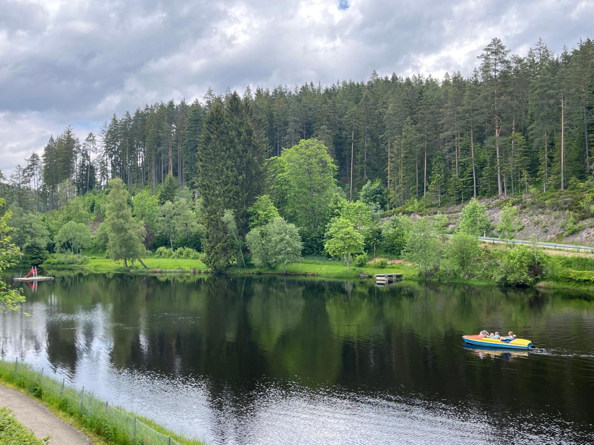 Haus Am See - Natur Pur 프리덴웨일러 외부 사진