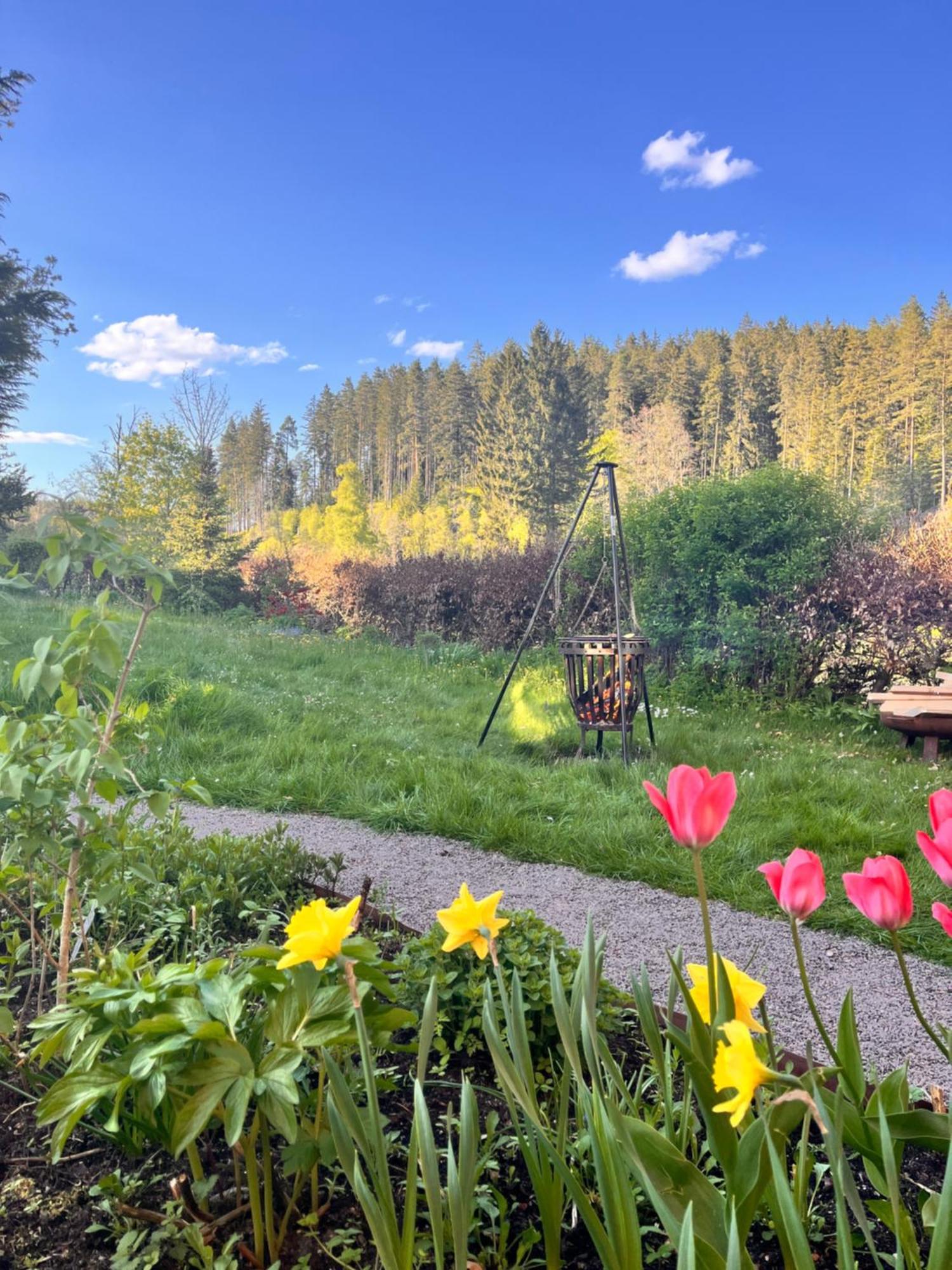 Haus Am See - Natur Pur 프리덴웨일러 외부 사진